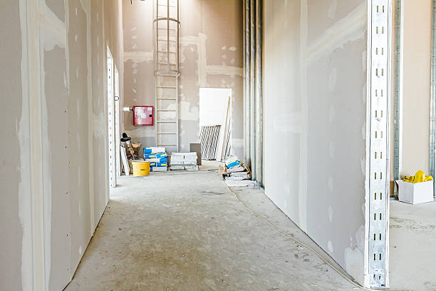 Best Drywall Removal and Disposal  in Canton, GA